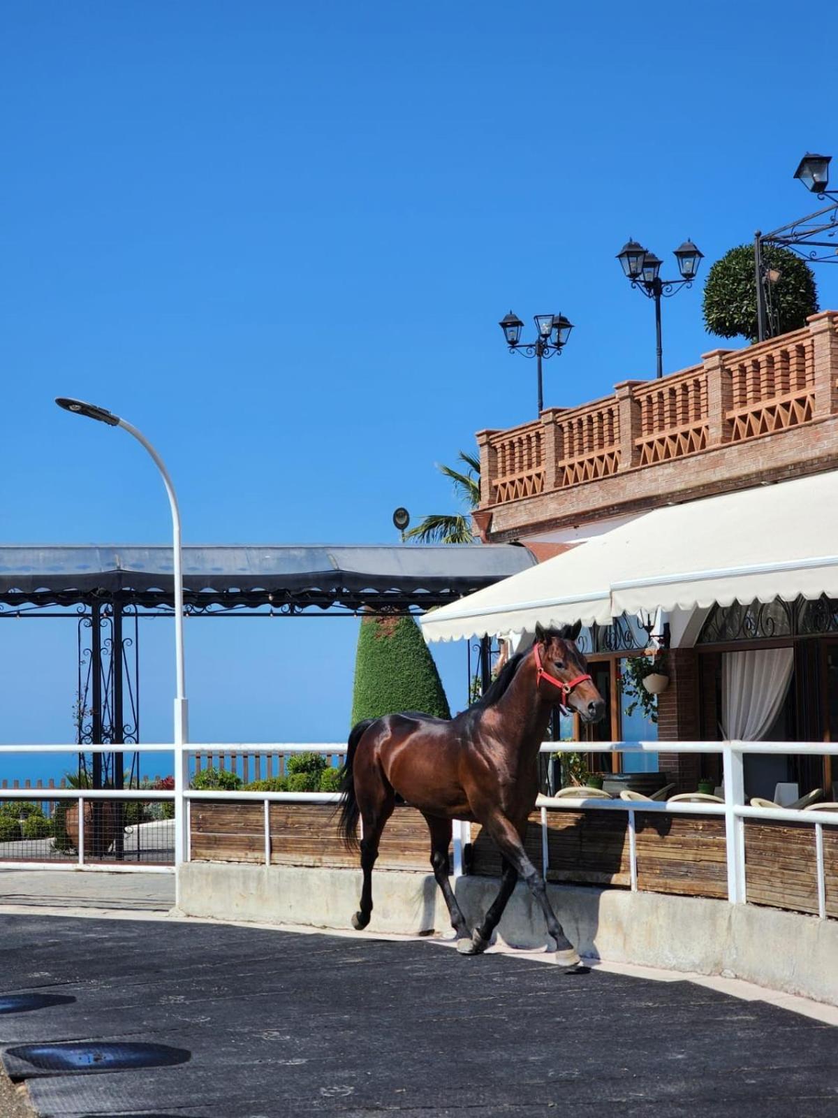 Agroturizem Kodra E Kuajve Hotel Shkallnur Exterior photo